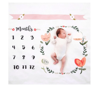 Little Gigglers World Organic Baby Monthly Milestone Blanket