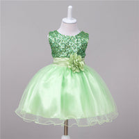 Little Gigglers World Baby Kid Flower Wedding Princess Dress