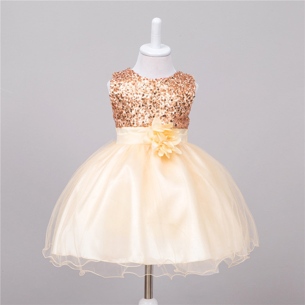 Little Gigglers World Baby Kid Flower Wedding Princess Dress