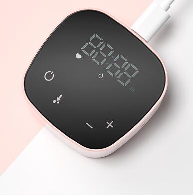 Little Gigglers World Smart Breast Plug-in Pump