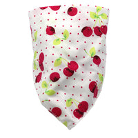 Little Gigglers World Waterproof Cotton Baby Bandana Bibs